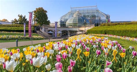 Phipps Conservatory and Botanical Gardens: อลัมภัณฑ์ดอกไม้ที่สวยงามและการผจญภัยทางวิทยาศาสตร์!