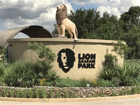  Lion Park  A Thrilling Safari Experience for Wildlife Enthusiasts!