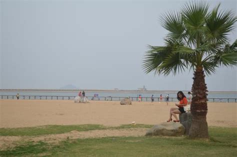 ศูนย์พักผ่อนวanghaiwan สถานที่ท่องเที่ยวชายหาดที่ผ่อนคลายและอุดมด้วยธรรมชาติ!