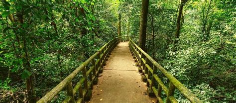  Xuan Phuong Temple: An Ancient Escape Where Serenity Meets Vibrant Culture!